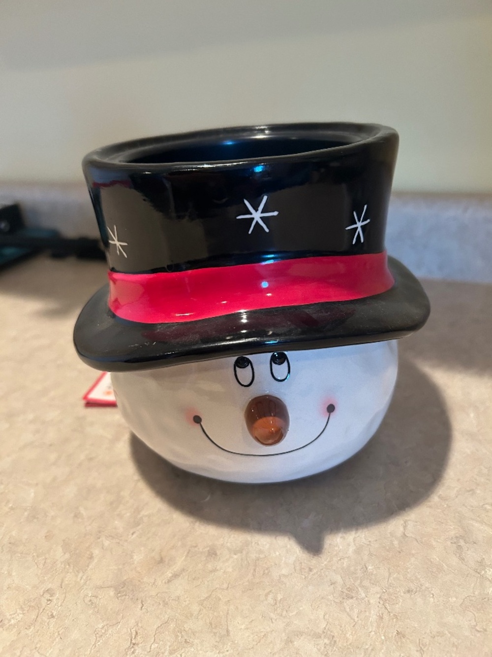 Crazy Mountain NWT Large Candle Warmer